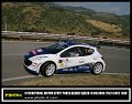 1 Peugeot 207 S2000 P.Andreucci - A.Andreussi (23)